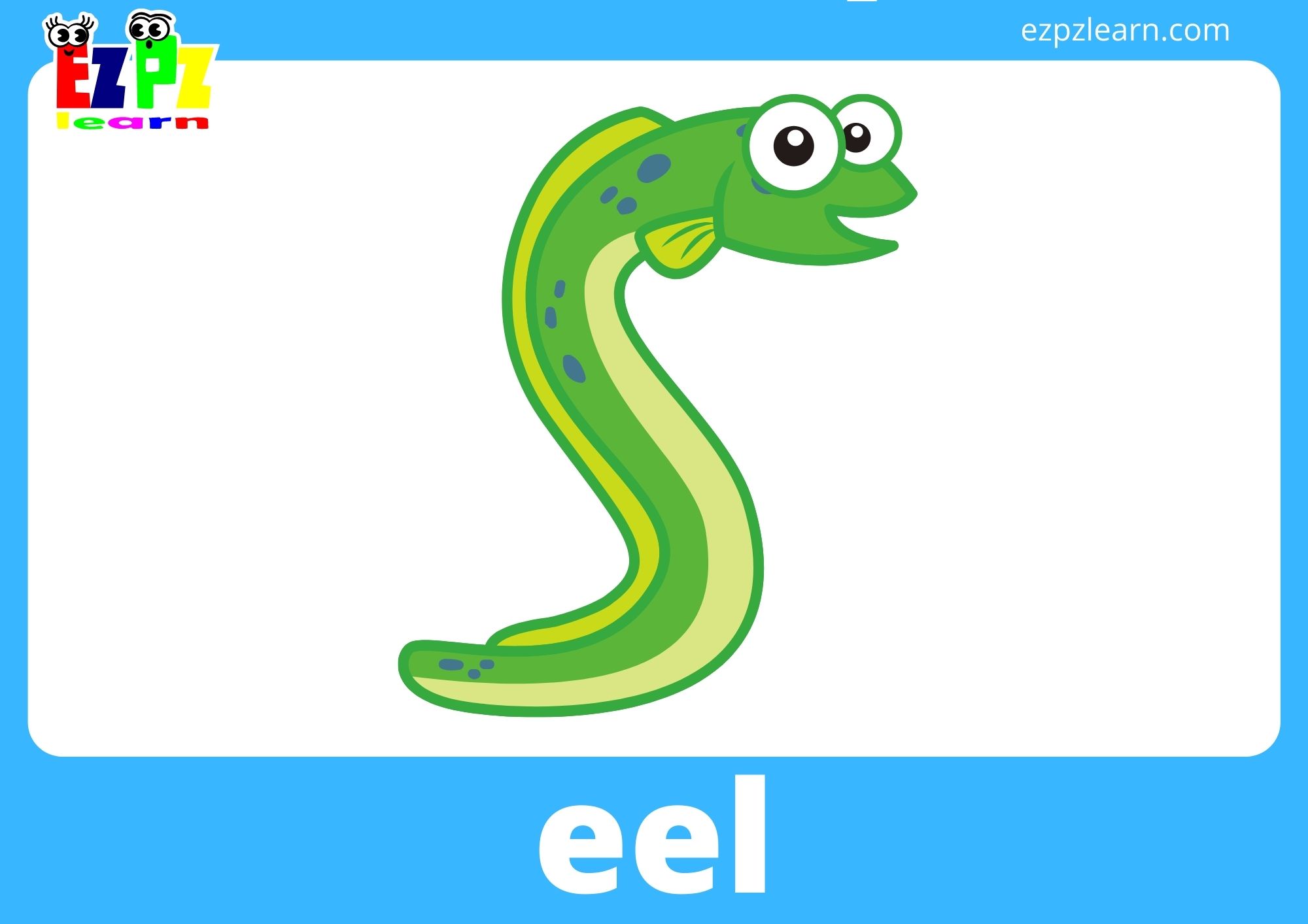 eel